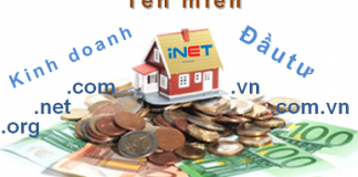 kinh-doanh-dau-tu-ten-mien-inet